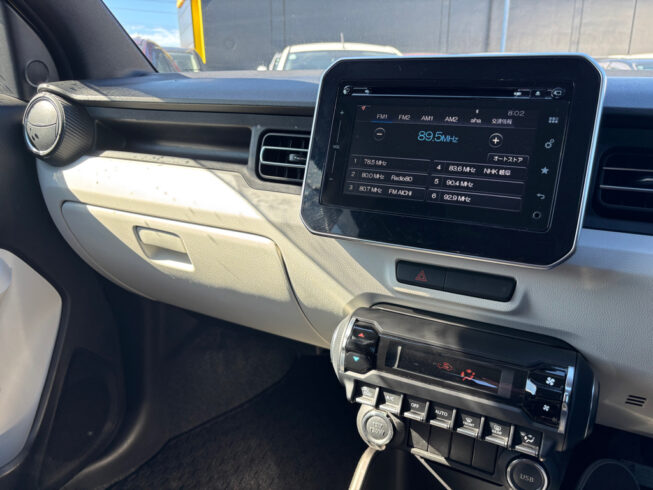 2016 Suzuki Ignis Hybrid MX, LIMITED image 299102