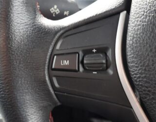 2013 Bmw 320i Sports image 317147